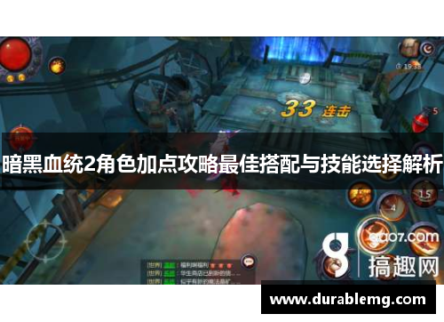 暗黑血统2角色加点攻略最佳搭配与技能选择解析