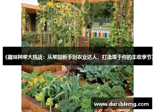 《趣味种菜大挑战：从菜园新手到农业达人，打造属于你的丰收季节》